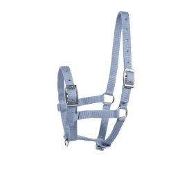 Licol Pour Poulain Horze Foal