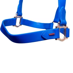 Licol Superstrap Noir, Chrome