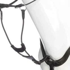 Martingale Kavalkade Fourche Elastique