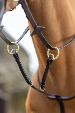 Martingale Lemieux Running