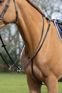 Martingale Lemieux Running