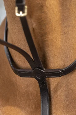 Martingale Lemieux Running