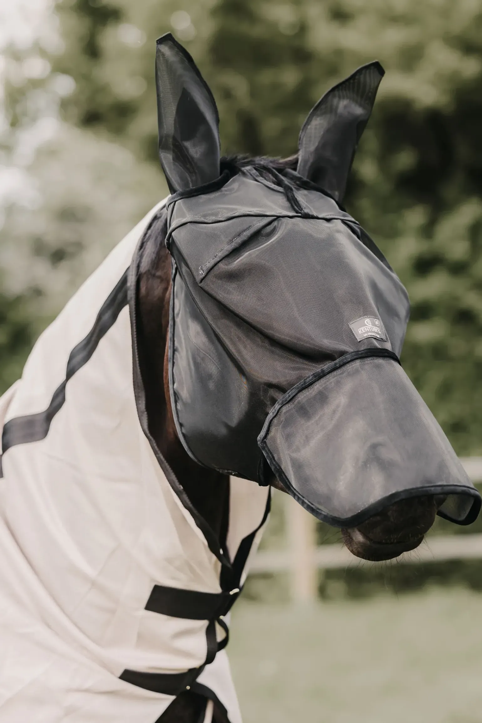 Masque Anti-Mouche Avec Oreilles Et Couvre-Nez Classic Kentucky Horsewear