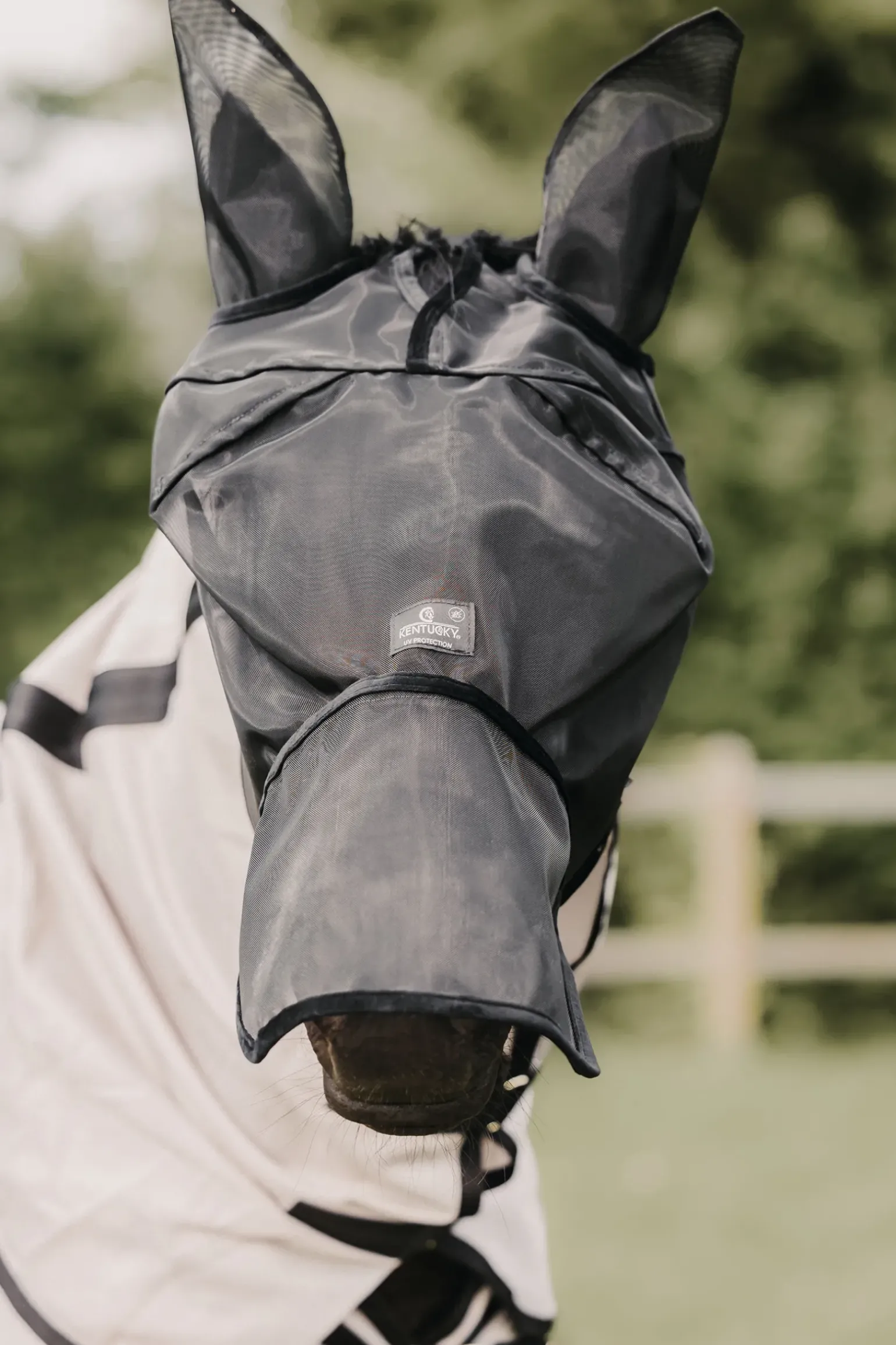 Masque Anti-Mouche Avec Oreilles Et Couvre-Nez Classic Kentucky Horsewear