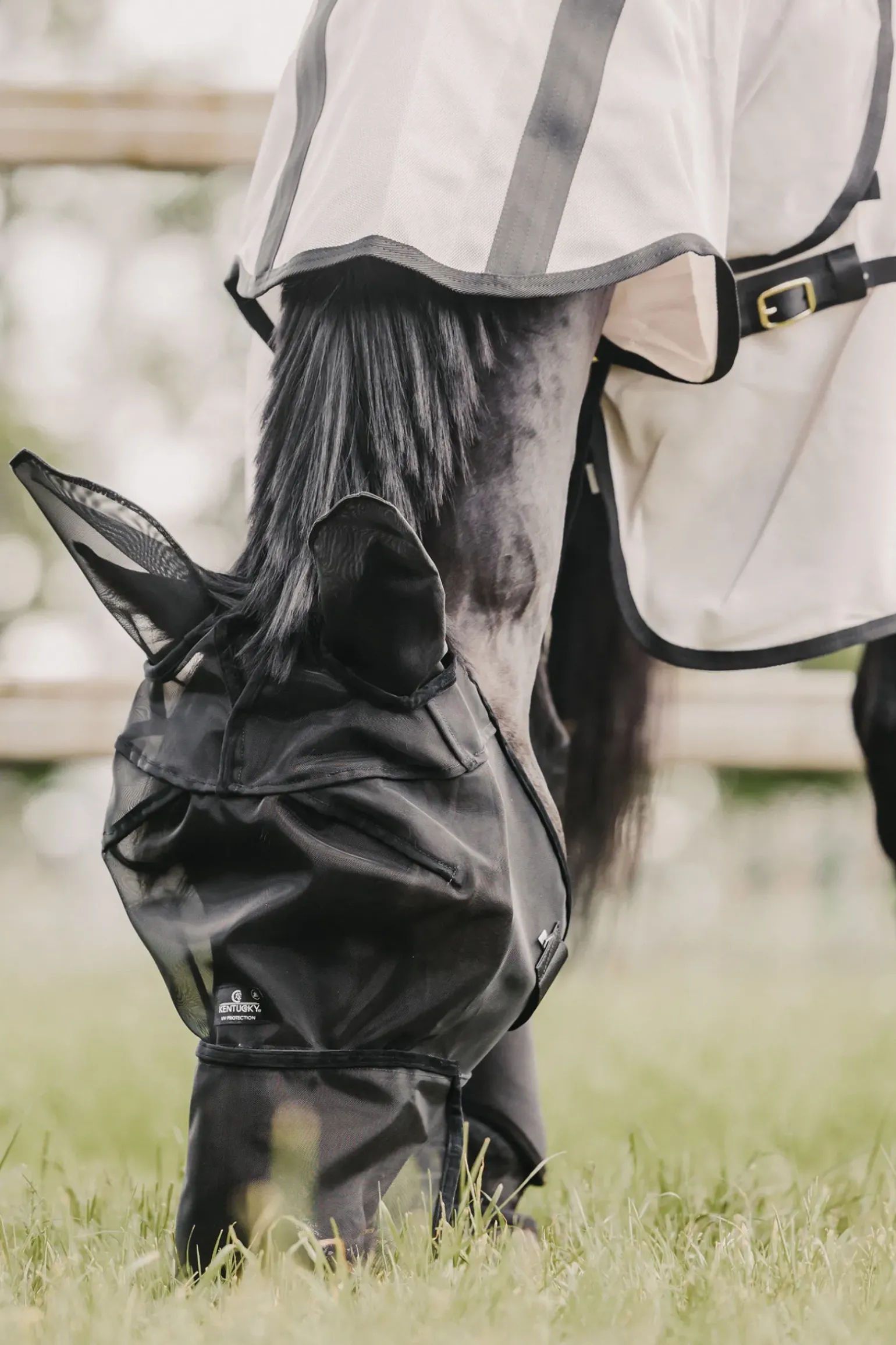 Masque Anti-Mouche Avec Oreilles Et Couvre-Nez Classic Kentucky Horsewear