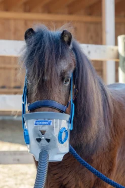 Masque D'Inhalation Hippomed, Accessoires Pour Airone Inclus, Shetland/Poulain