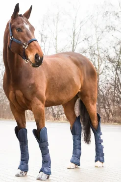 Protections De Transport Horze