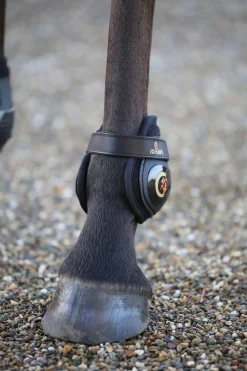 Protege-Boulets Kentucky Horsewear Moonboots, Posterieur