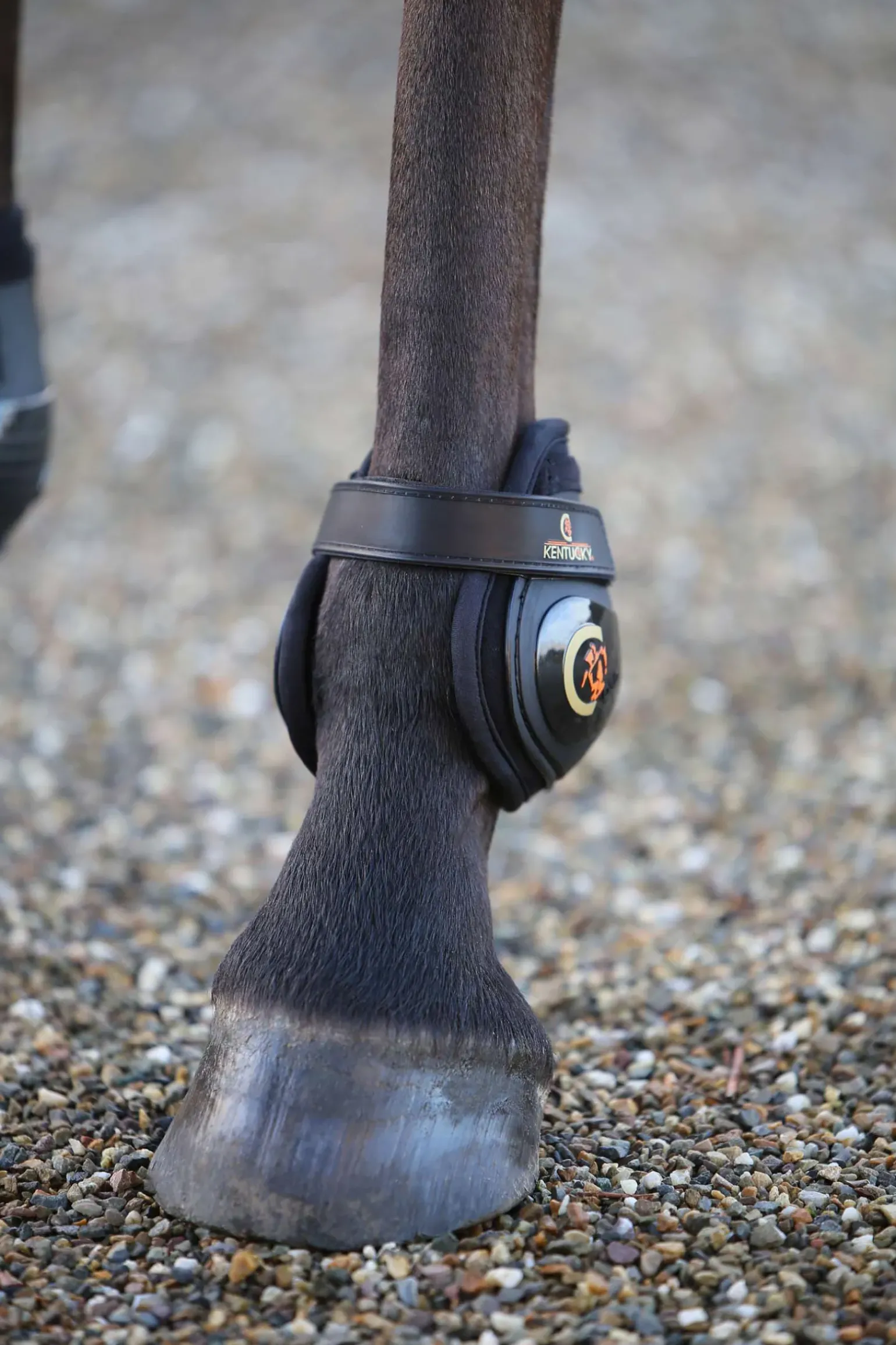 Protege-Boulets Kentucky Horsewear Moonboots, Posterieur