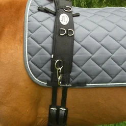 Sangle De Longe Kavalkade Avec Neoprene