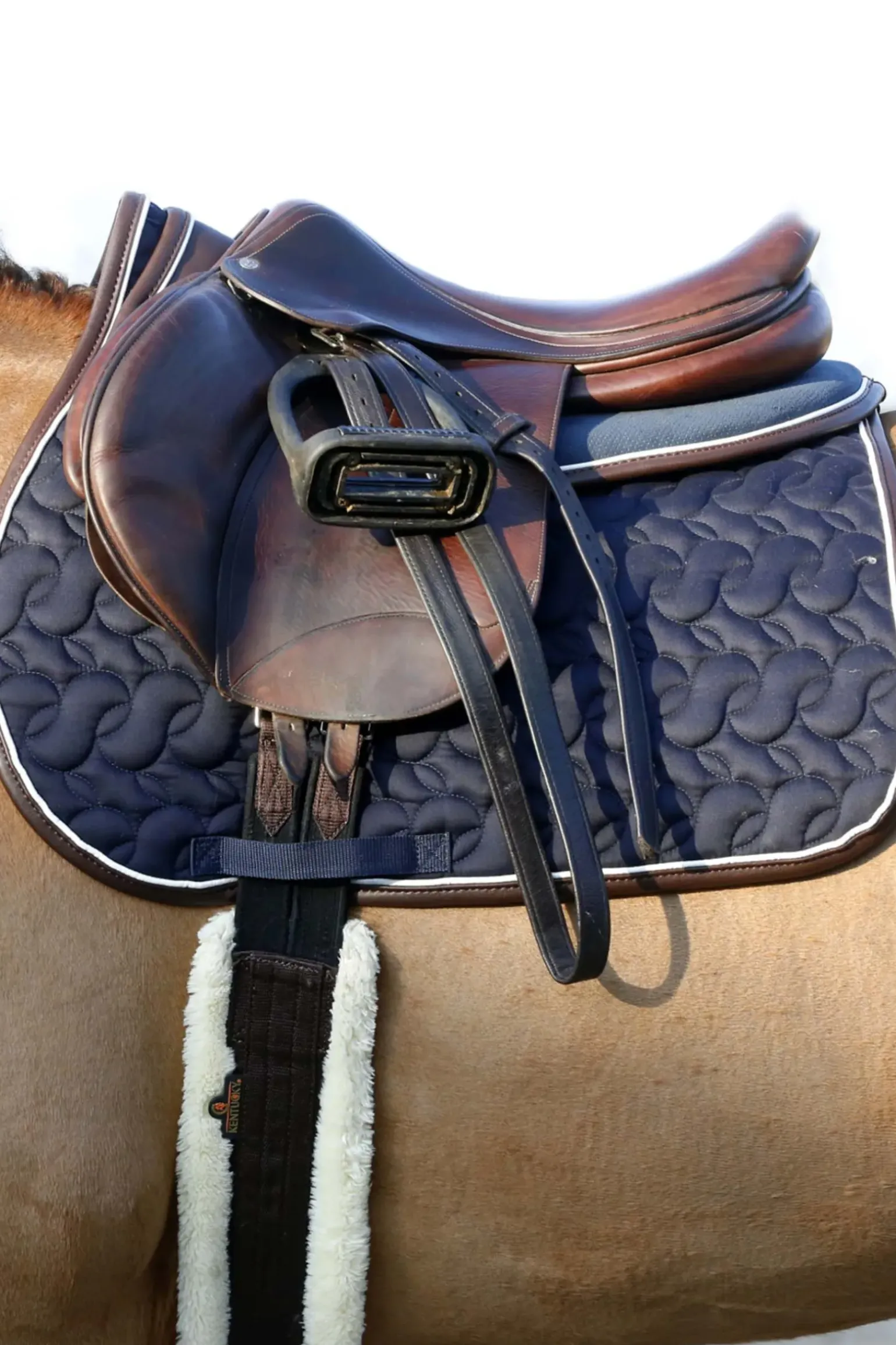 Sangle En Peau De Mouton Kentucky Horsewear