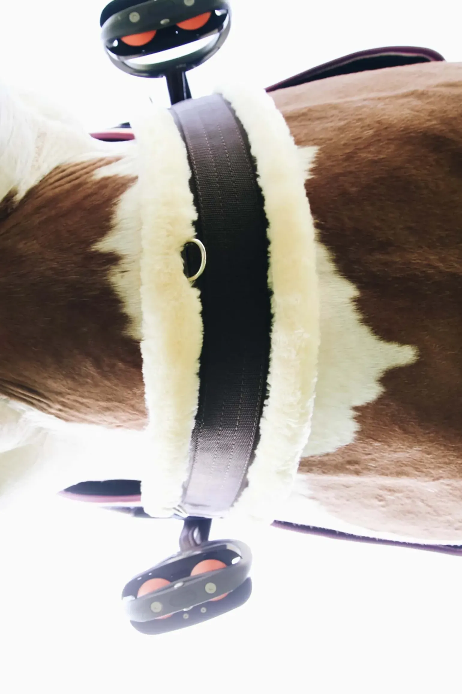 Sangle En Peau De Mouton Kentucky Horsewear