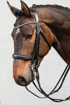 Schockemohle Milton Anatomic Double Bridle