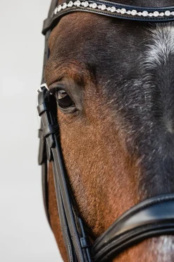 Schockemohle Milton Anatomic Double Bridle