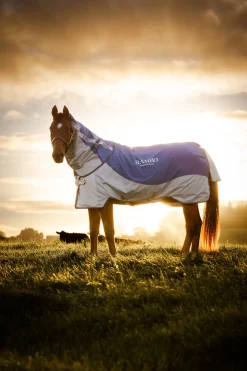 Serie D'Automne Horseware Rambo