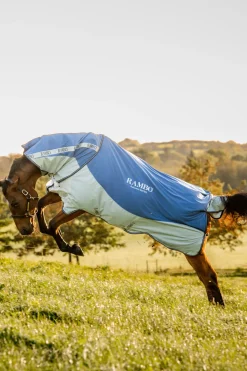 Serie D'Automne Horseware Rambo