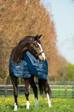 Sous-Couverture Horseware Liner 400