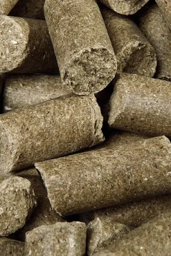 Speed Eucalyptus Delicieux Speedies, Friandises, 5 Kg
