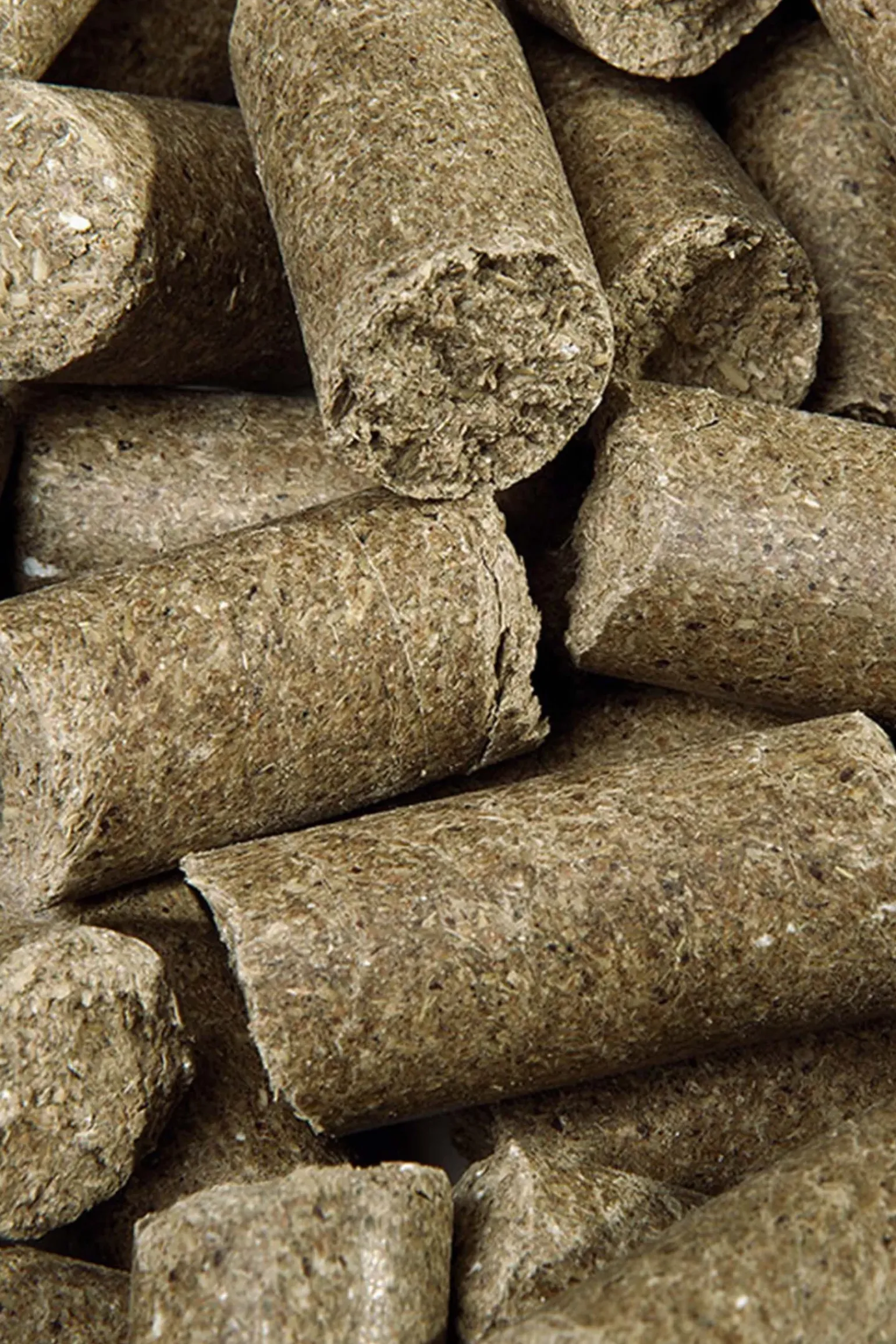 Speed Eucalyptus Delicieux Speedies, Friandises, 5 Kg
