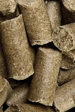 Speed Pure Apple Delicious Speedies, Friandises, 5 Kg