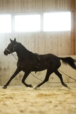 Surfaix En Nylon Pour Longer Et Travailler A Pied Horze