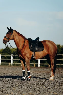 Tapis De Selle De Dressage B Vertigo Drew