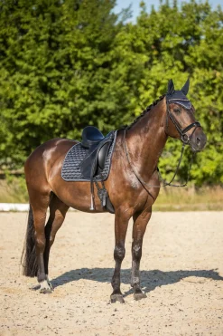Tapis De Selle De Dressage Horze Sandness