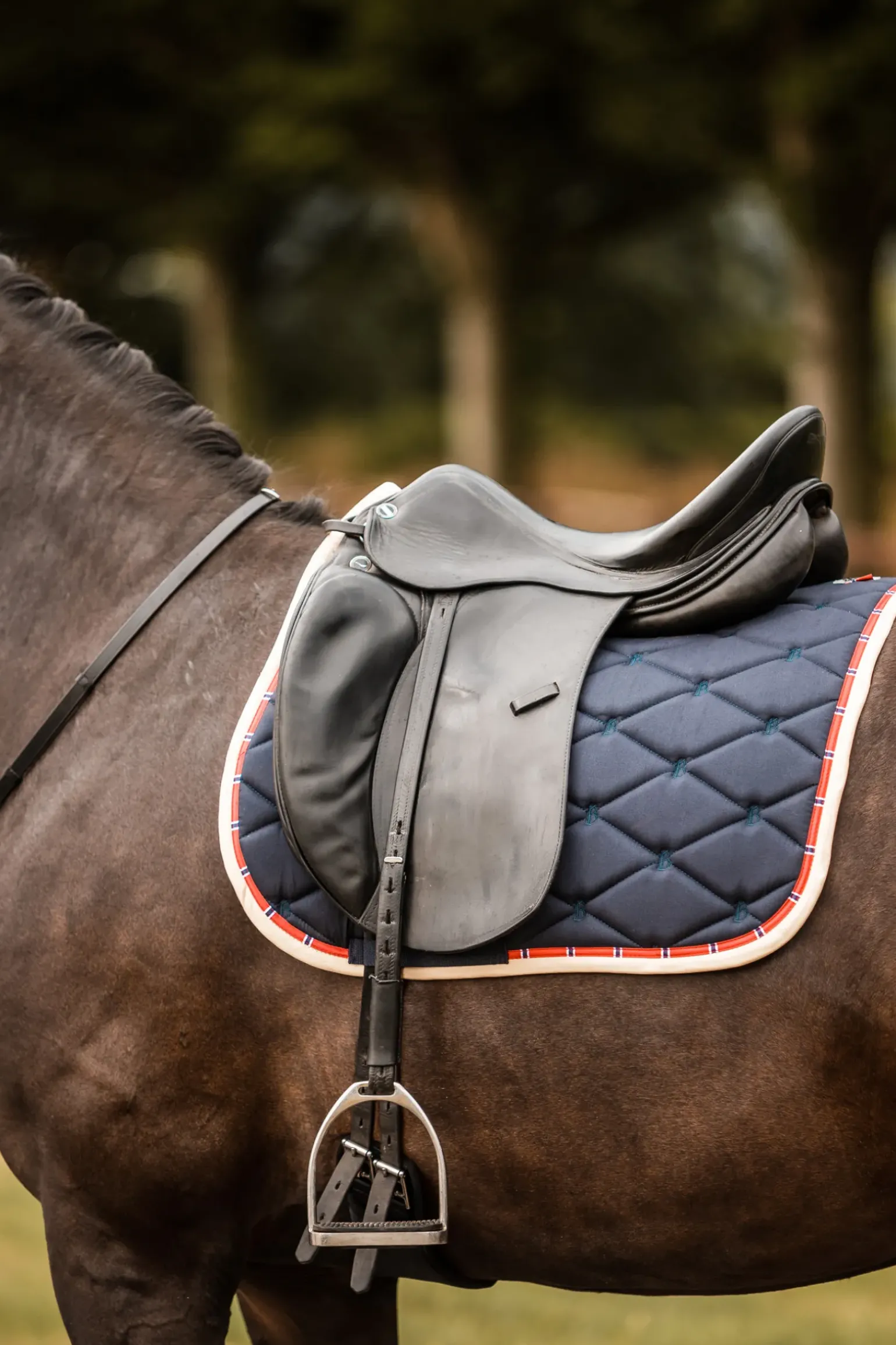 Tapis De Selle De Dressage B Vertigo Amory Avec Monogramme Brode
