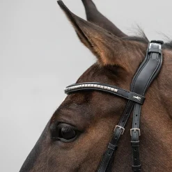 Tetiere Schockemohle Equitus Rho