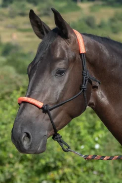 Usg Knotted Rope Halter With Matching Lead Rope