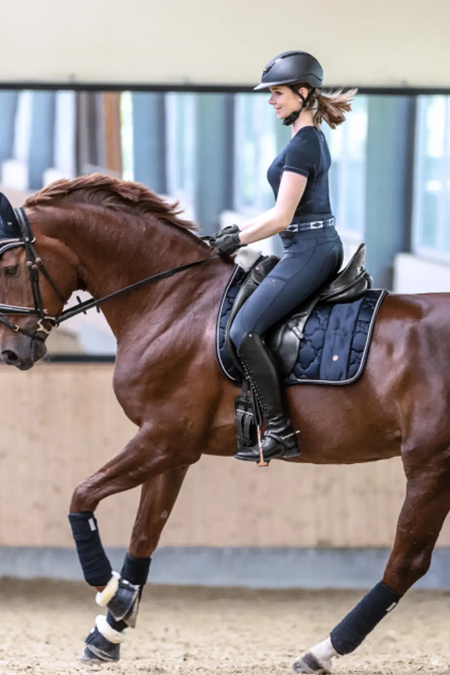 Waldhausen Modern Rose Chabraque Dressage