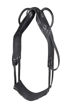 Waldhausen Surfaix De Voltige Et De Longe