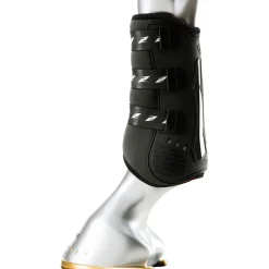 Zandona King Carbon Air, Anterieur
